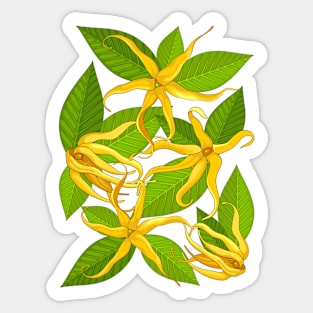 Ylang Ylang Exotic Scented Flowers and Leaves Sticker